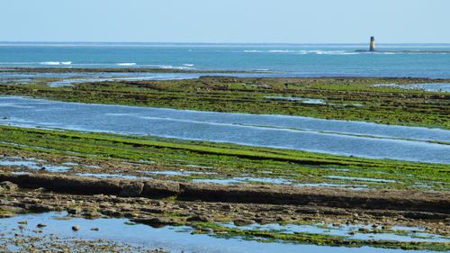 Free A serene coastal landscape featuring algae-covered rocks, calm sea, and distant lighthouse. Stock Photo