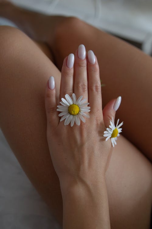 Daisies on Woman Hand
