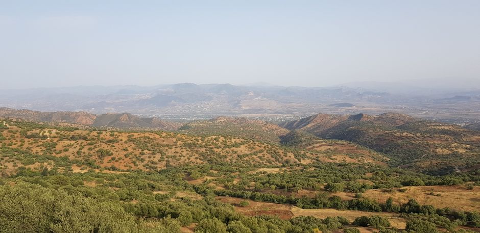 Peut-on immigrer en Algérie sans offre d'emploi ?