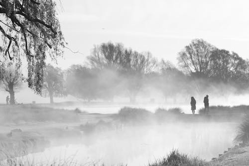 Silhouette of a Couple Walking in the Fog 