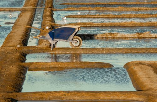 Free A scenic view of salt pans in Guérande, France, featuring a wheelbarrow and seagulls. Stock Photo