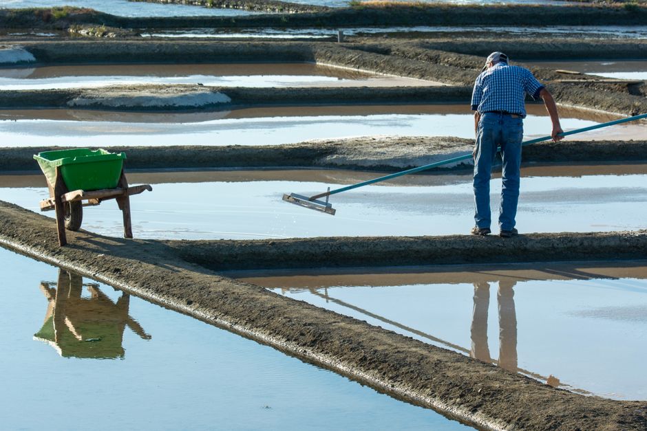 Hombre trabajando en un campo de sal con una carretilla, capturando la agricultura tradicional de sal.