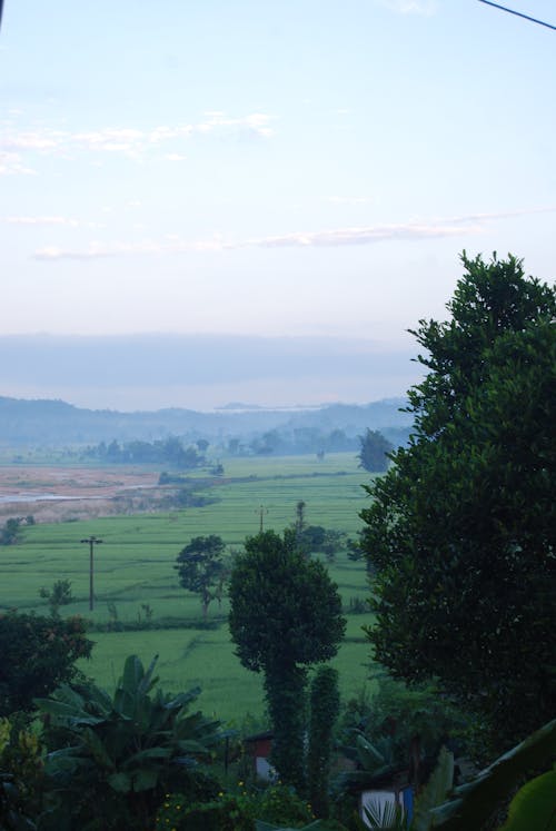 Gratis stockfoto met dhanusha, dorp van nepal, groen landschap