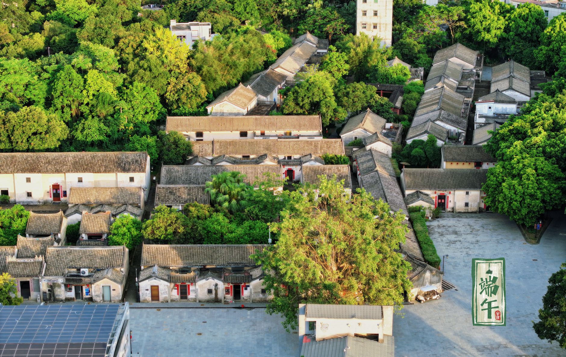 Chinese rural village courtyard with rooster cages, local officials inspecting the quiet gathering