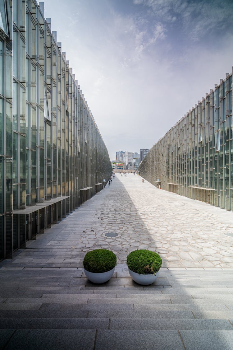 Pavement In A University In Seoul 