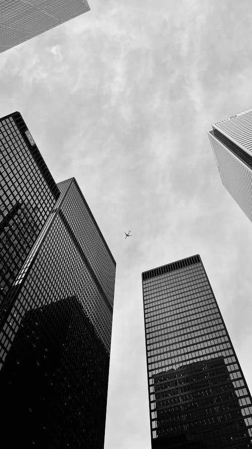 Free Skyscrapers in Downtown Stock Photo