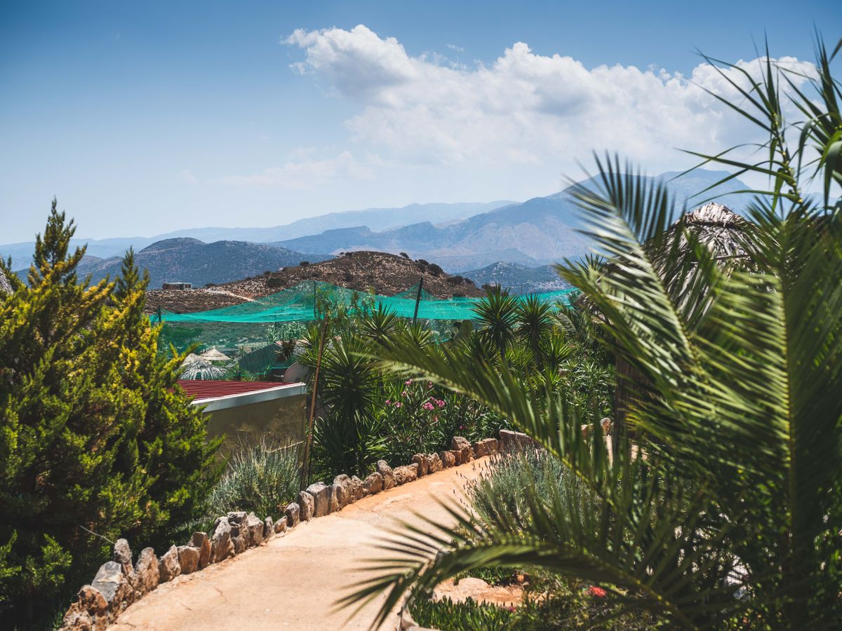 8 Day beachfront Vinyasa, Yin Holiday in Costa Tropical Andalucia 1