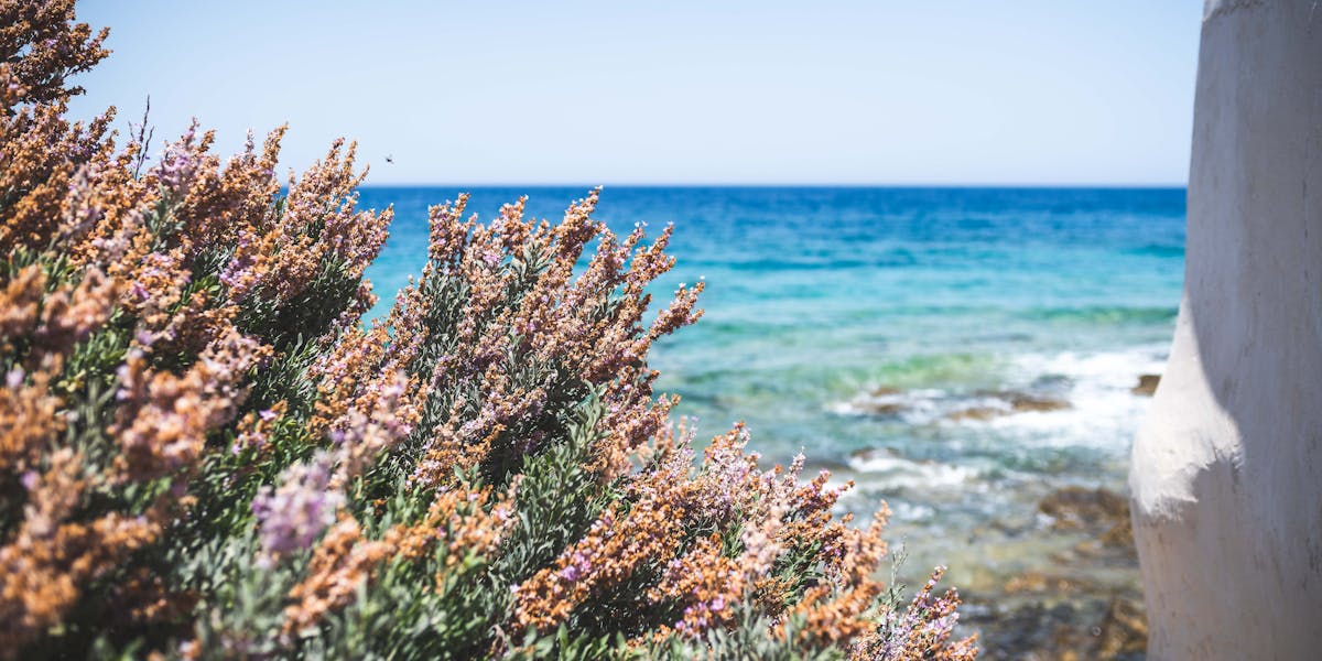 Culver City and Playa Vista Home Maintenance Guide