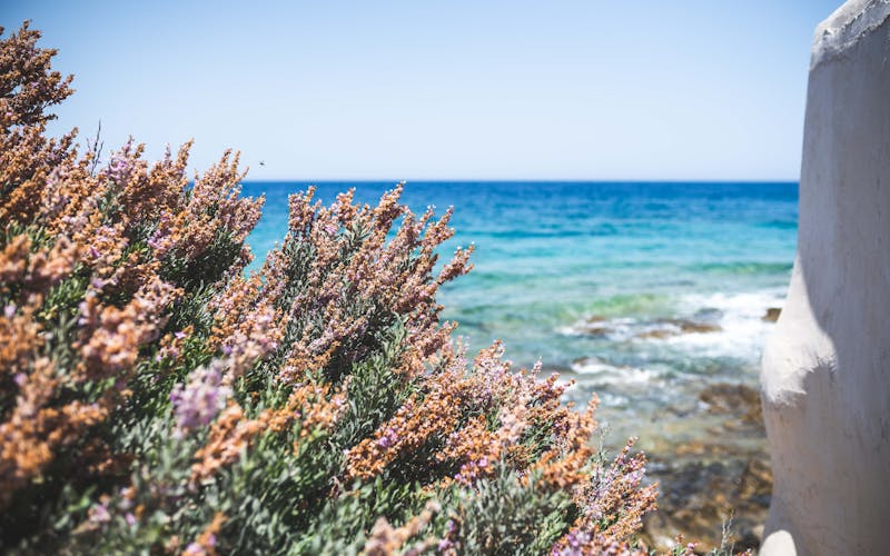 Culver City and Playa Vista Home Maintenance Guide