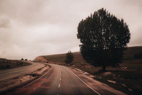 アスファルト, トレイル, 曇りの無料の写真素材