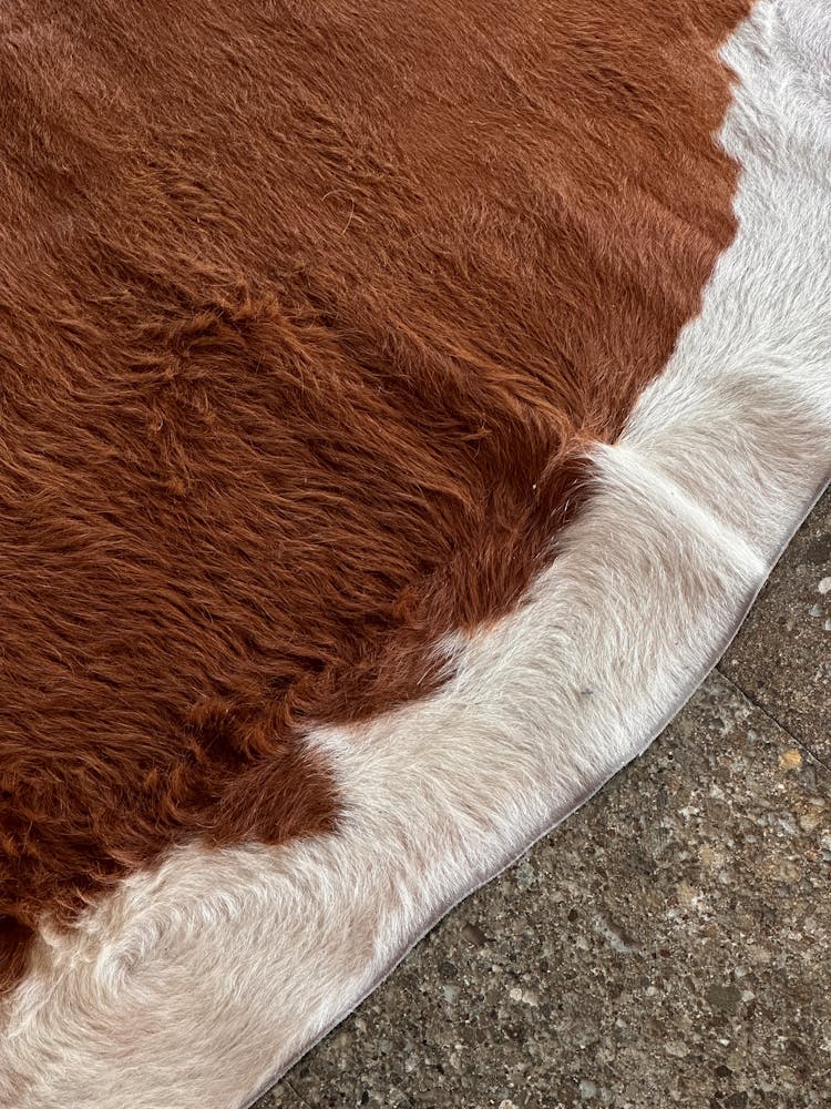 Close Up Of Brown And White Fur Clothes On Ground