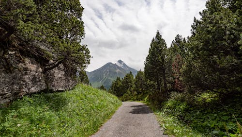 Gratis arkivbilde med fjell, grønn, grusvei