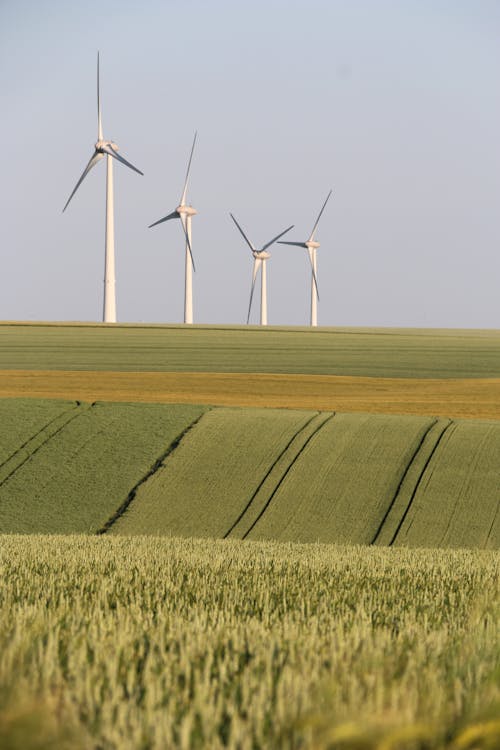 Wind Turbines on Horizon in Countryside
