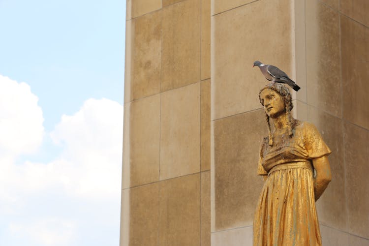 Pigeon On Golden Sculpture In Paris, France