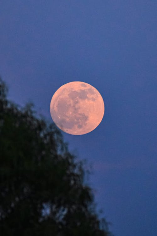 Foto profissional grátis de céu limpo, lua cheia, natureza