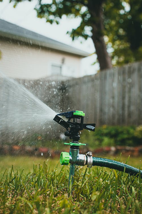 2,162 Lawn Sprinkler Stock Photos, High-Res Pictures, and Images