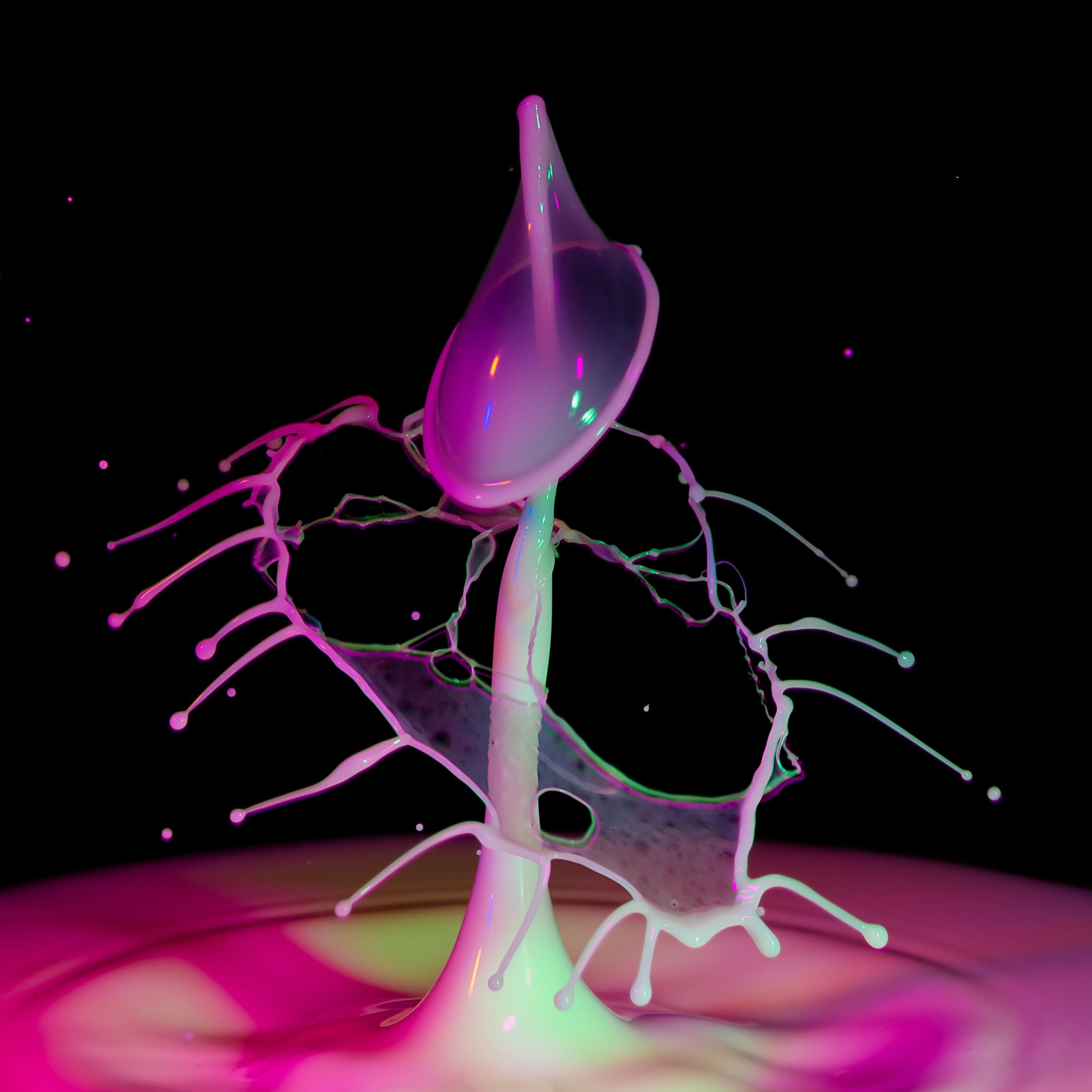 Neon Fluid in a Studio 