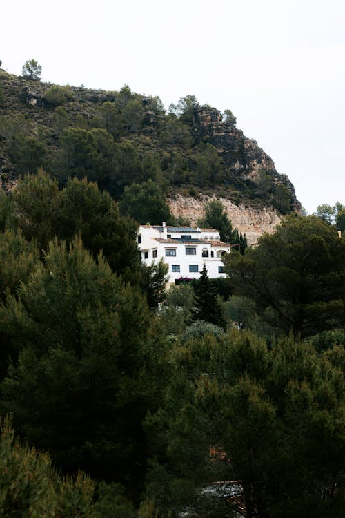 A White Building among Trees on a Hill 