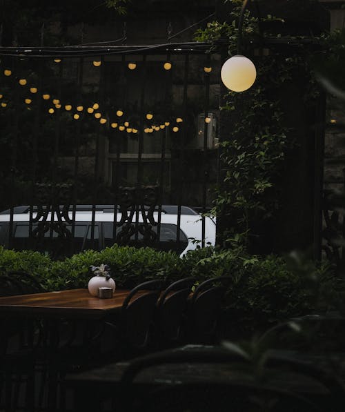 Plants around Table on Restaurant Terrace