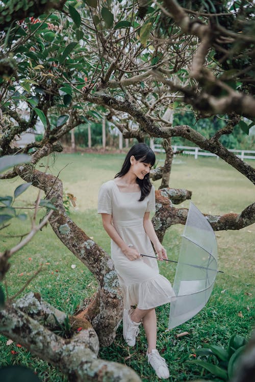 Young Woman in a Dress and Holding an Umbrella Sitting in a Park 