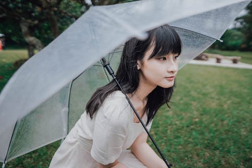 Young Woman with an Umbrella in a Park 