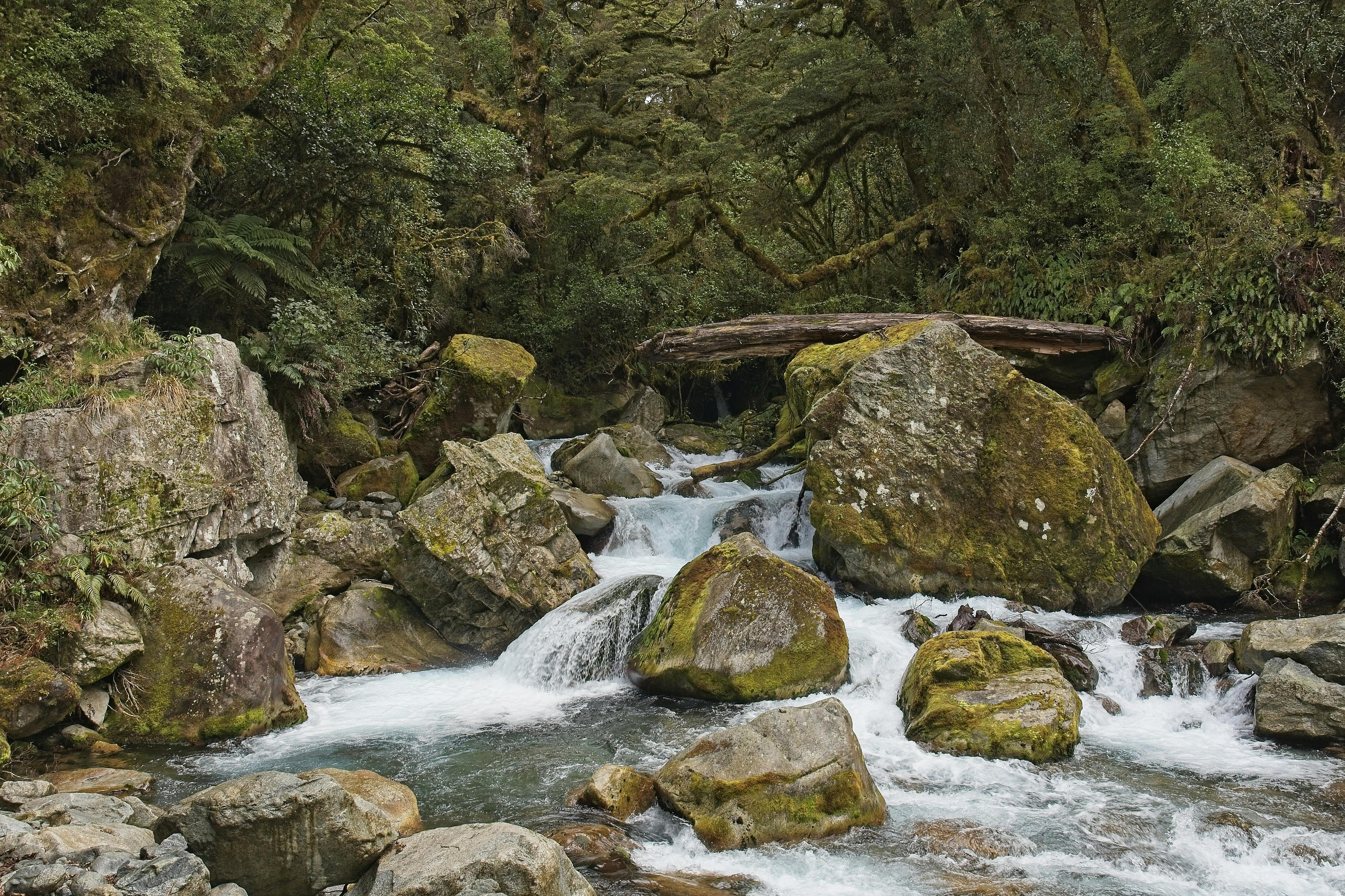 general travel new zealand tours — Photo by Kaiser Concha on Pexels