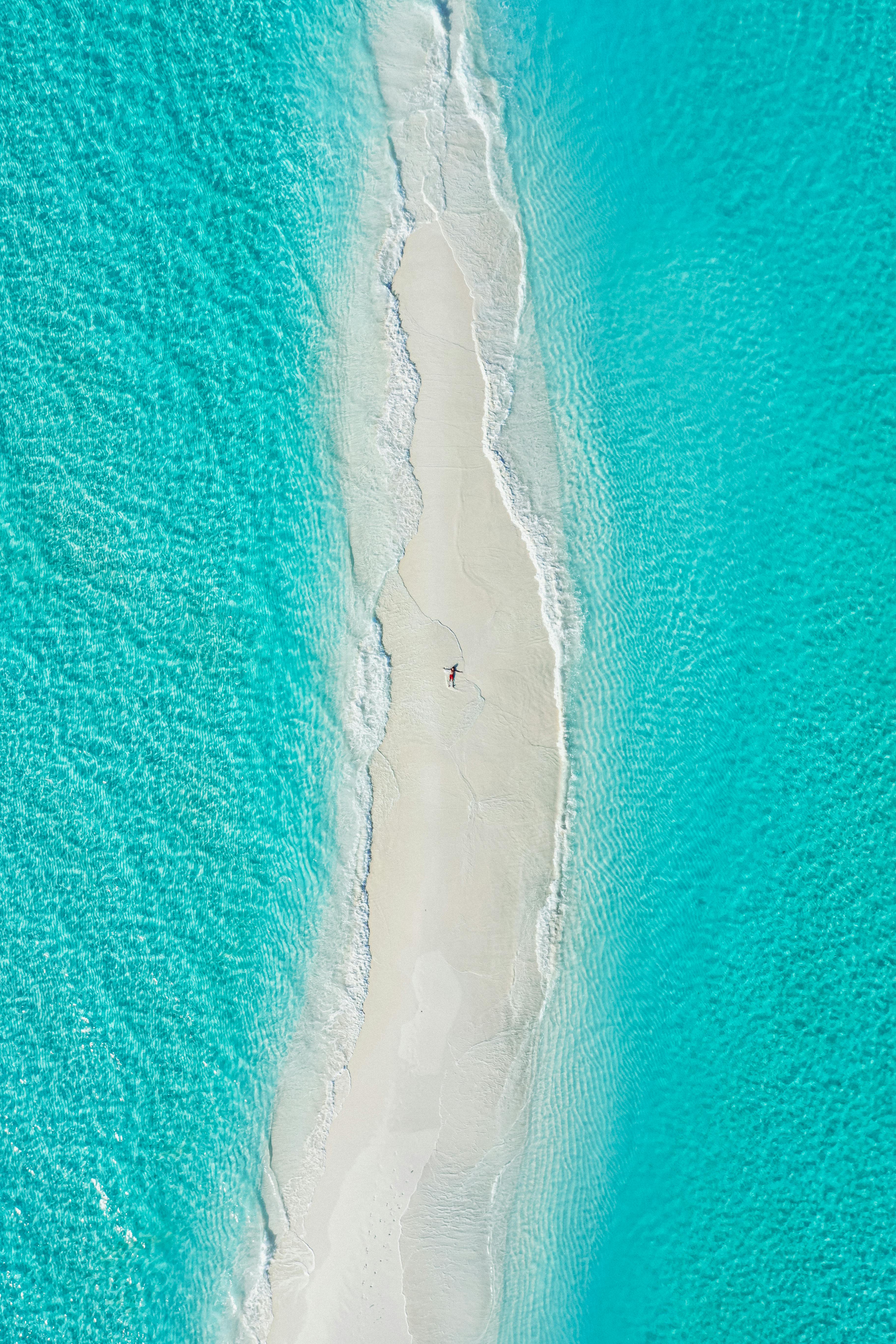 Unforgettable Encounters in Nature's Realm