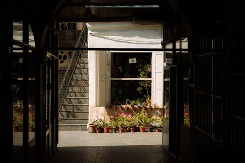 Free A sunlit alleyway in Istanbul with flower pots and stairs, showcasing urban charm. Stock Photo