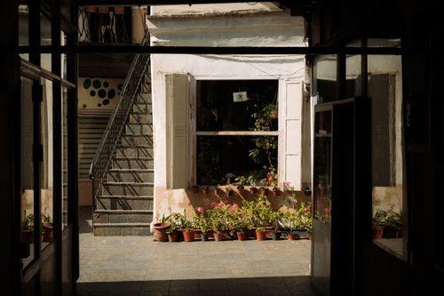 Free A peaceful courtyard with sunlit stairs and potted flowers against a building. Stock Photo