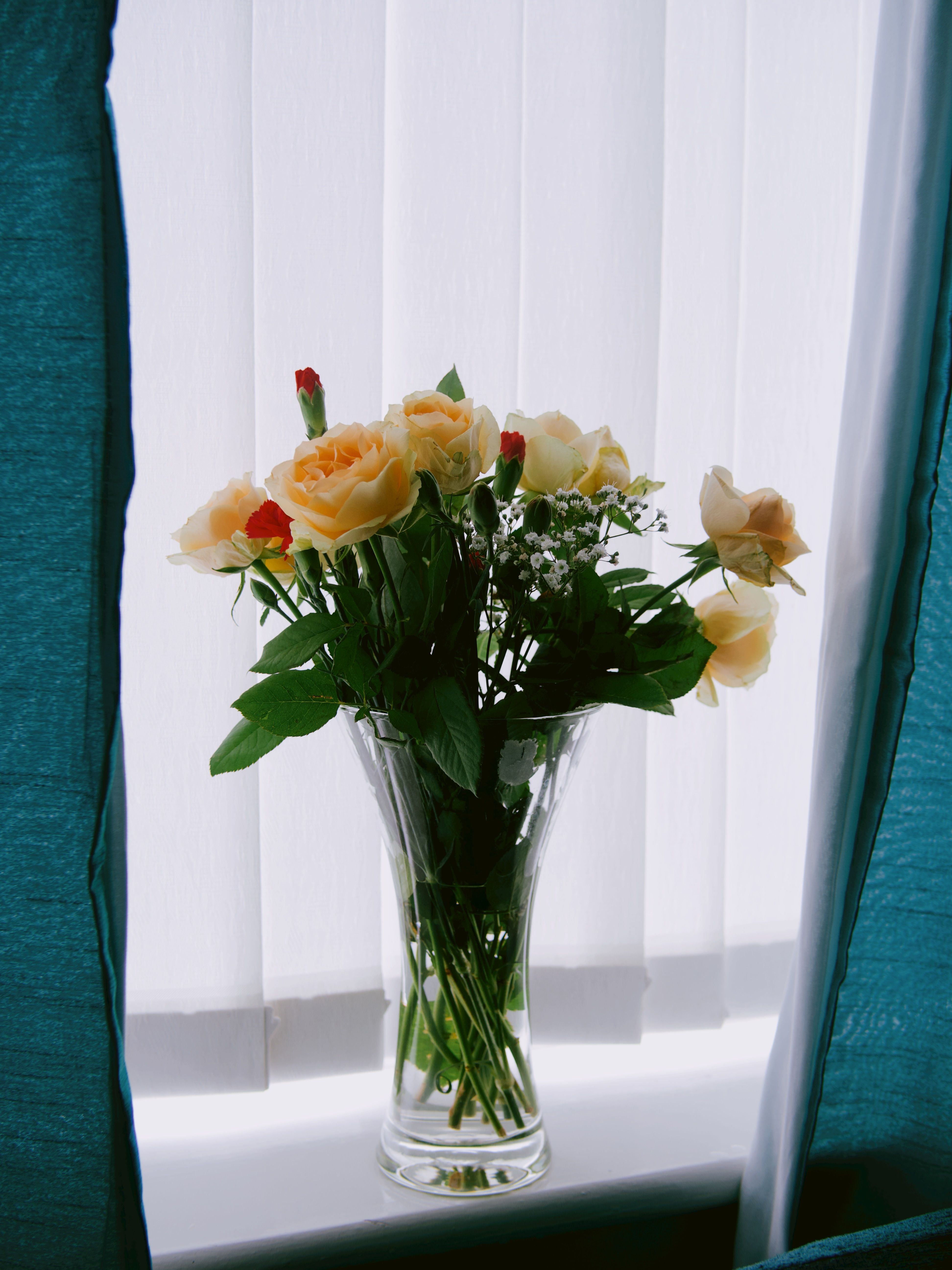 [ColoSach]-a-delicate-arrangement-of-peach-and-red-roses-in-a-vase-on-a-bright-windowsill.