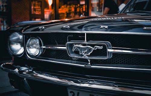 A Close-up of Black Mustang