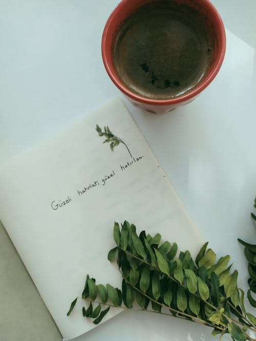 Foto stok gratis buku notes, Daun-daun, hijau