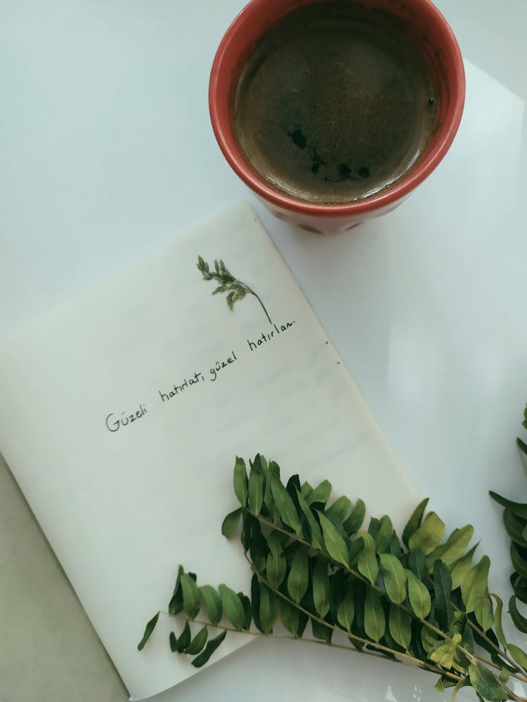 Paper Next To A Pot And Green Leaves