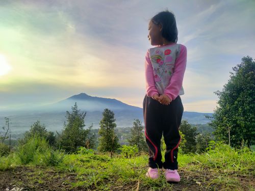 Free Mountain Salak Stock Photo
