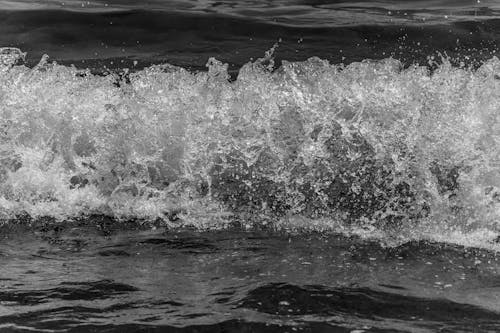 Splashing Water in Black and White