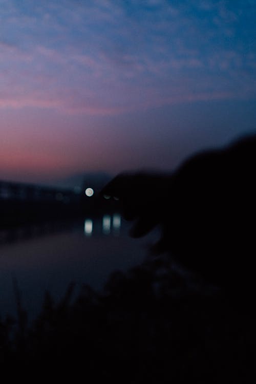ブルーアワー, ムーディー, 日没の無料の写真素材