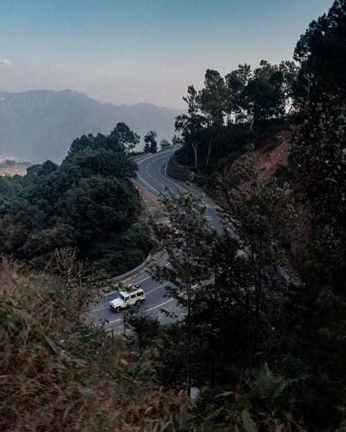 Forest around Road on Hill