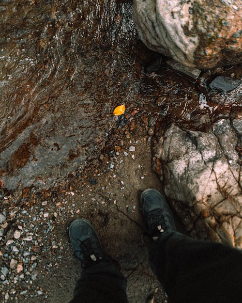 Mans Feet in a Forest