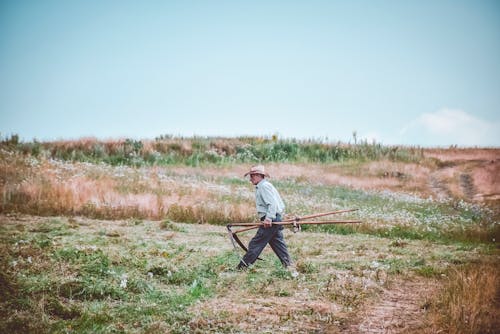 Man Walking On Farm
