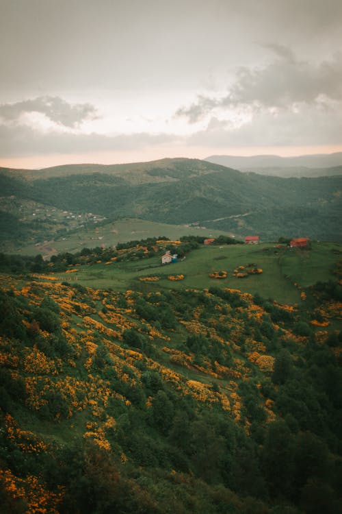 Immagine gratuita di campagna, colline, natura