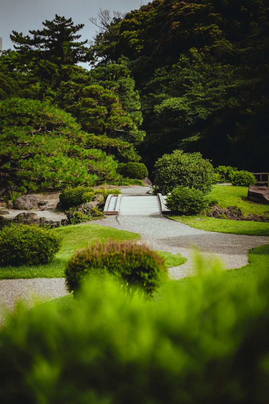Landscaping