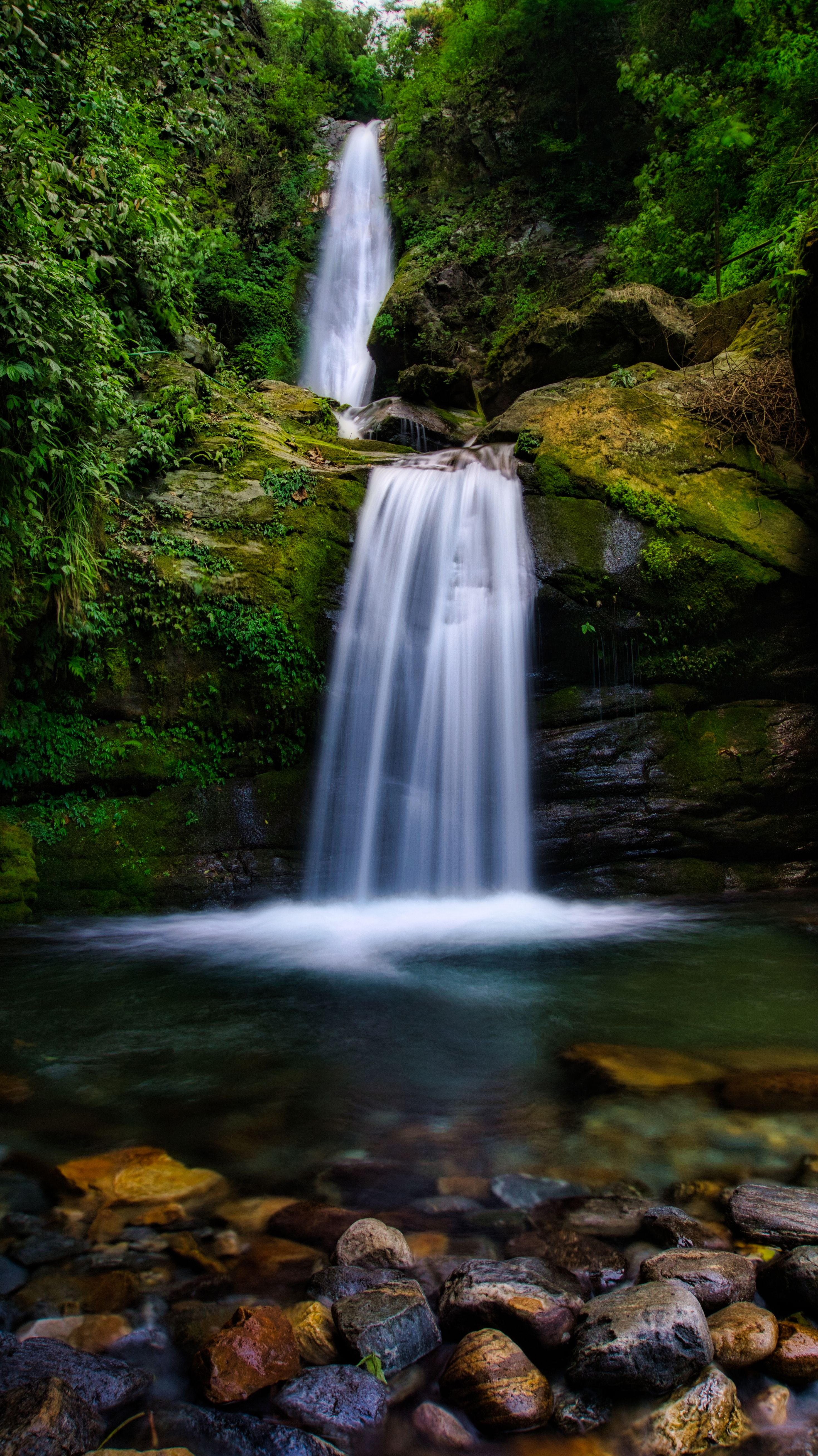 A serene waterfall cascading in a lush green forest, perfect for nature and travel enthusiasts.