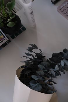 A minimalist desk setup with eucalyptus leaves, houseplant, and decor elements in natural light.