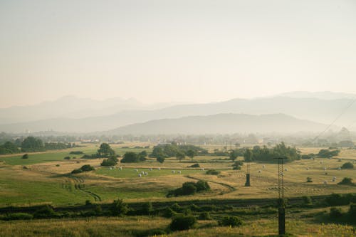 Imagine de stoc gratuită din agricultură, câmpuri, la țară