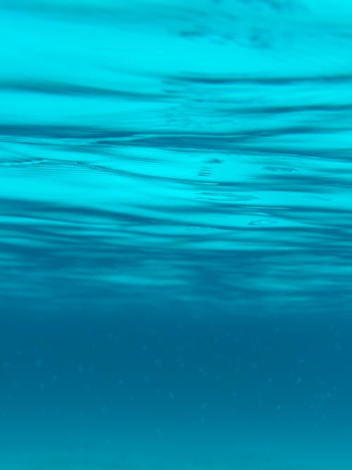 Photo Taken Under Turquoise Water 
