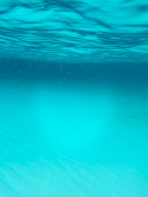 在海底, 海洋, 藍色 的 免费素材图片