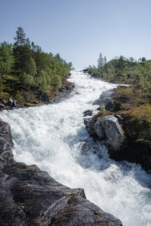 Photos gratuites de courant, fleuve, flot