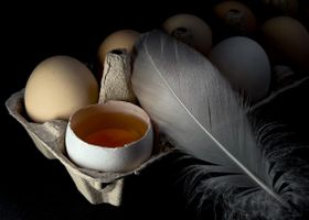 Foto: Tati Lebedenko · Pexels