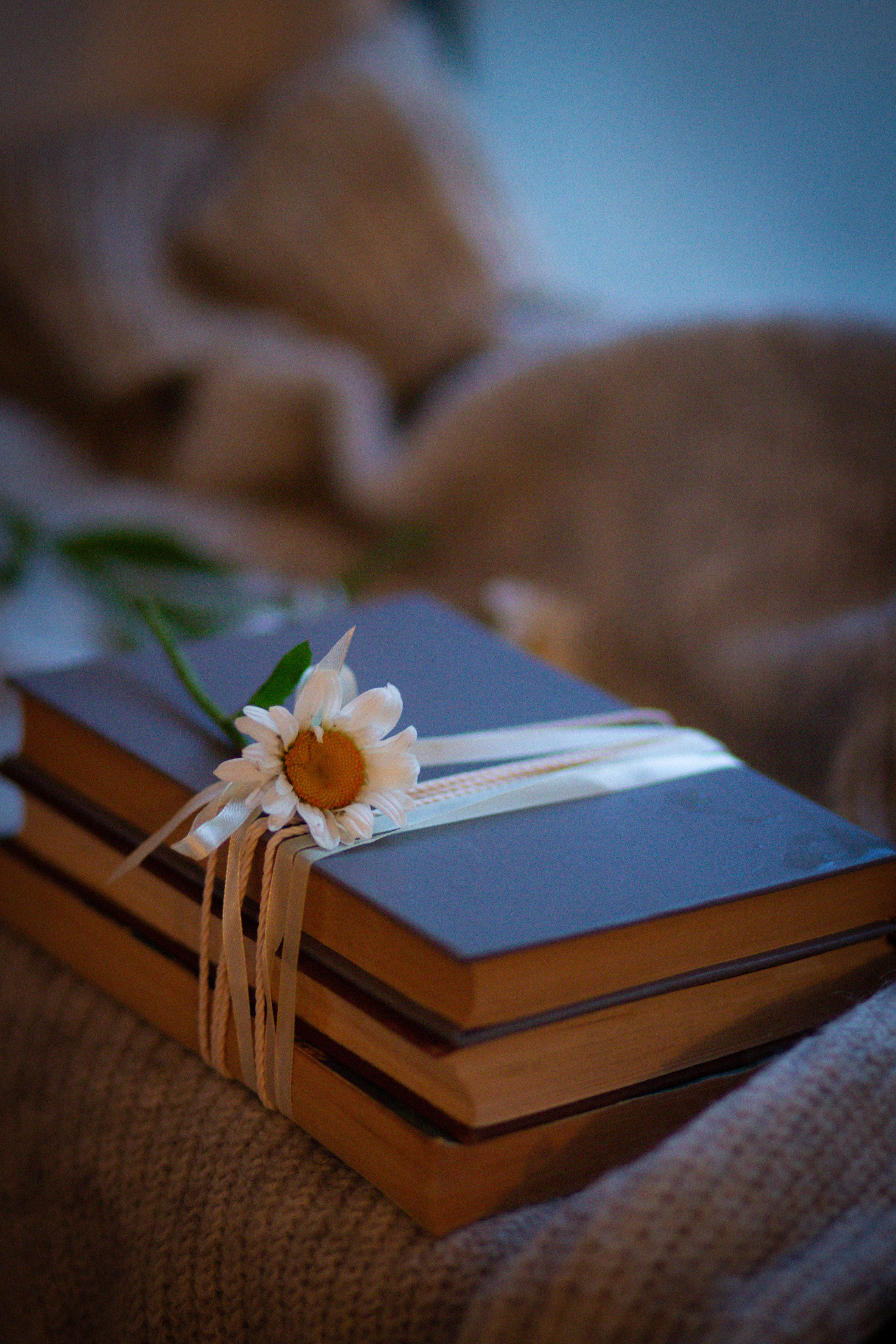 A stack of books with a daisy tied to them · Free Stock Photo