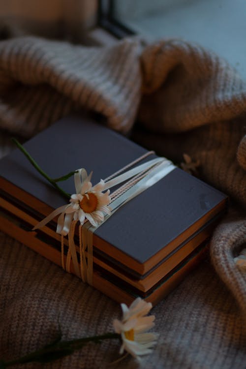 A Flower Lying on Top of Books Tied with a Ribbon
